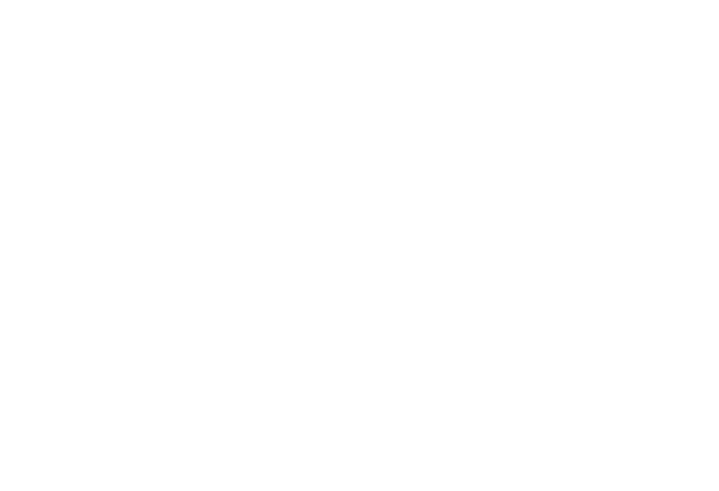 LIA Logo