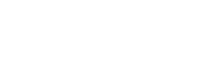 Macabee Logo Design